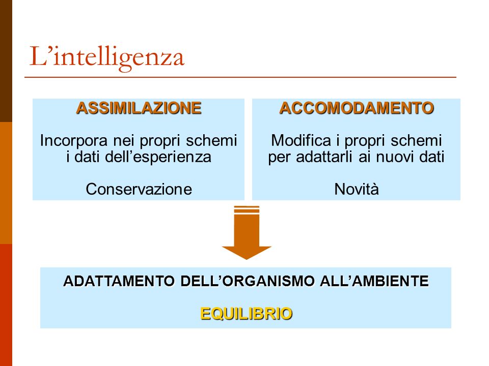 Lo sviluppo cognitivo secondo Jean Piaget ppt scaricare